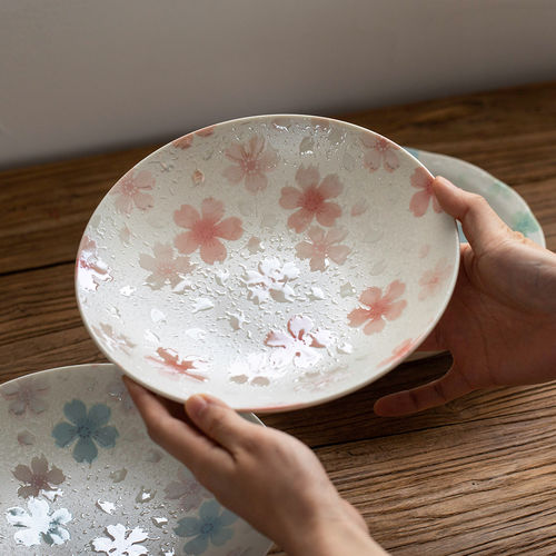 日本进口美浓烧陶瓷早餐盘深菜盘