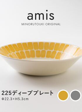 日本进口美浓烧陶瓷餐具amis深餐盘西餐盛菜盘釉下彩意面大盘子