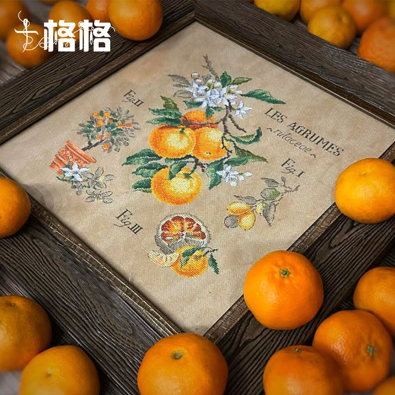 十格格十字绣法国DMC绣线套件2025新款 阴影花 柠檬与橘子