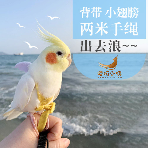 鹦鹉超轻牵引放飞绳背带遛鸟神器
