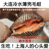顺丰 净4斤现捞薄壳毛蚶血蛤可生吃鲜活毛蛤赤贝