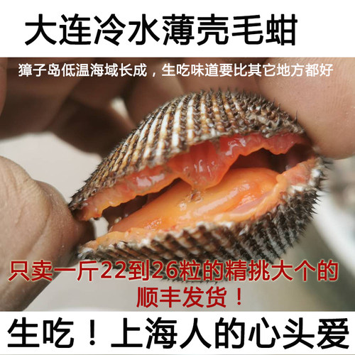 顺丰海边直发鲜活大连毛蚶可生