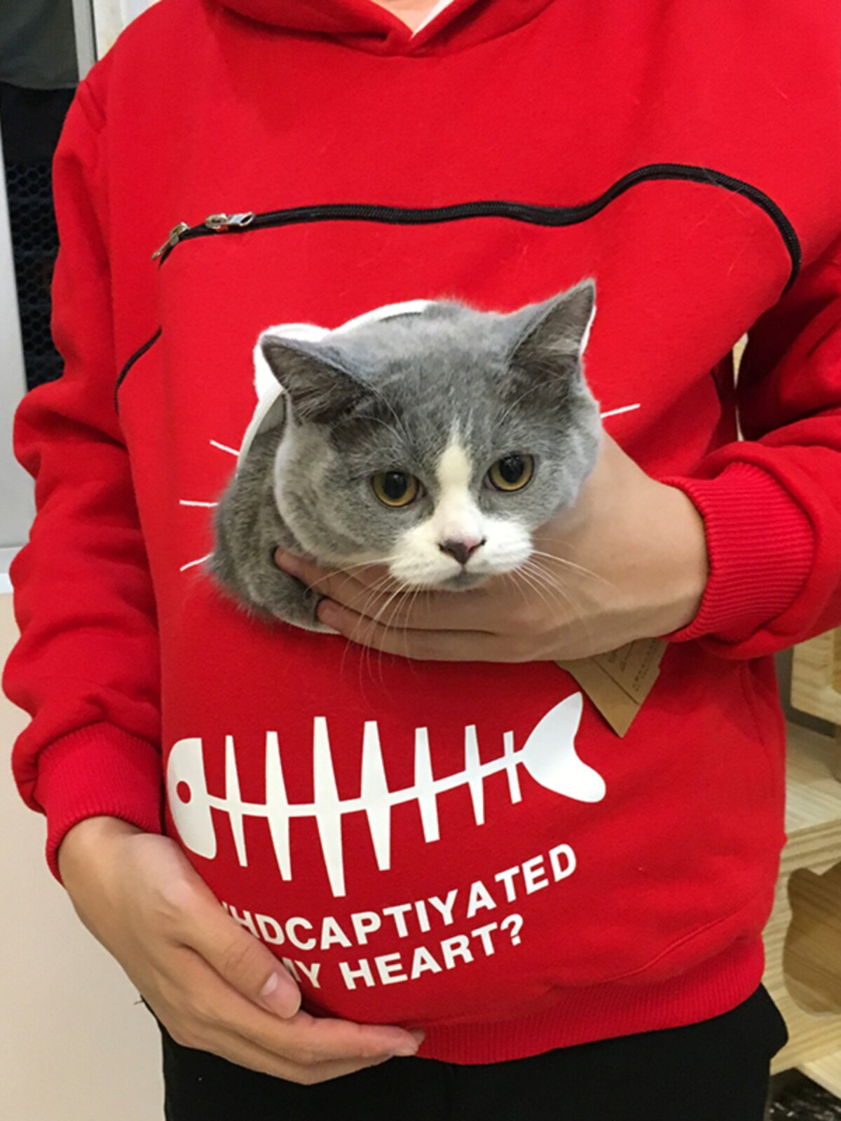 装猫卫衣携带宠物抱猫狗出行可以装猫咪衣服秋冬加绒育儿袋撸猫服