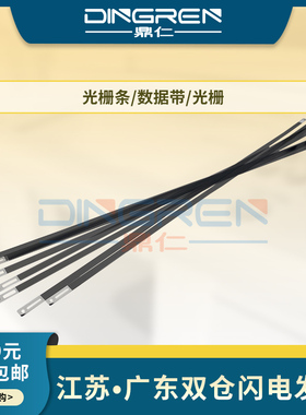 适用 爱普生L3151 L3153 L3158 L3163 L3166 L3167 L3168 L3169 L3161 L3165 L3100 L3219光栅条 数据带 光栅