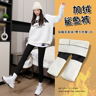 加绒鲨鱼裤女外穿2024新款秋冬季加厚高腰紧身黑色保暖芭比打底裤