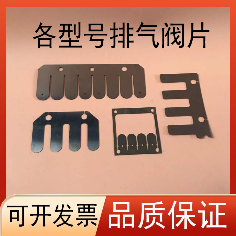 莱宝真空泵排气阀片SV16B/25/100/300/630B/D16/30/658CB钢片弹片