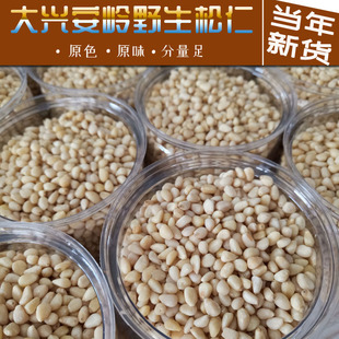 大兴安岭野生无添加原味偃松子仁零食野生松仁偃松松子仁偃松小镇
