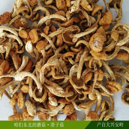 东北特产新货大兴安岭产地滑子菇