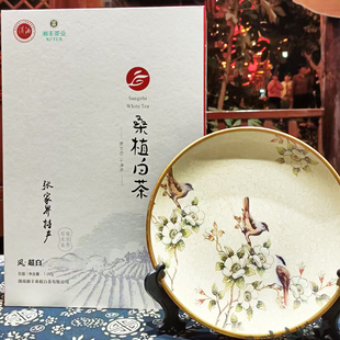 湘丰茶业桑植白茶风超白1KG礼盒装张家界特产散装茶叶礼品茶礼盒