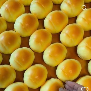 湿软手感仿真pu猪仔包慢回弹捏捏乐解减压模型道具礼物礼品