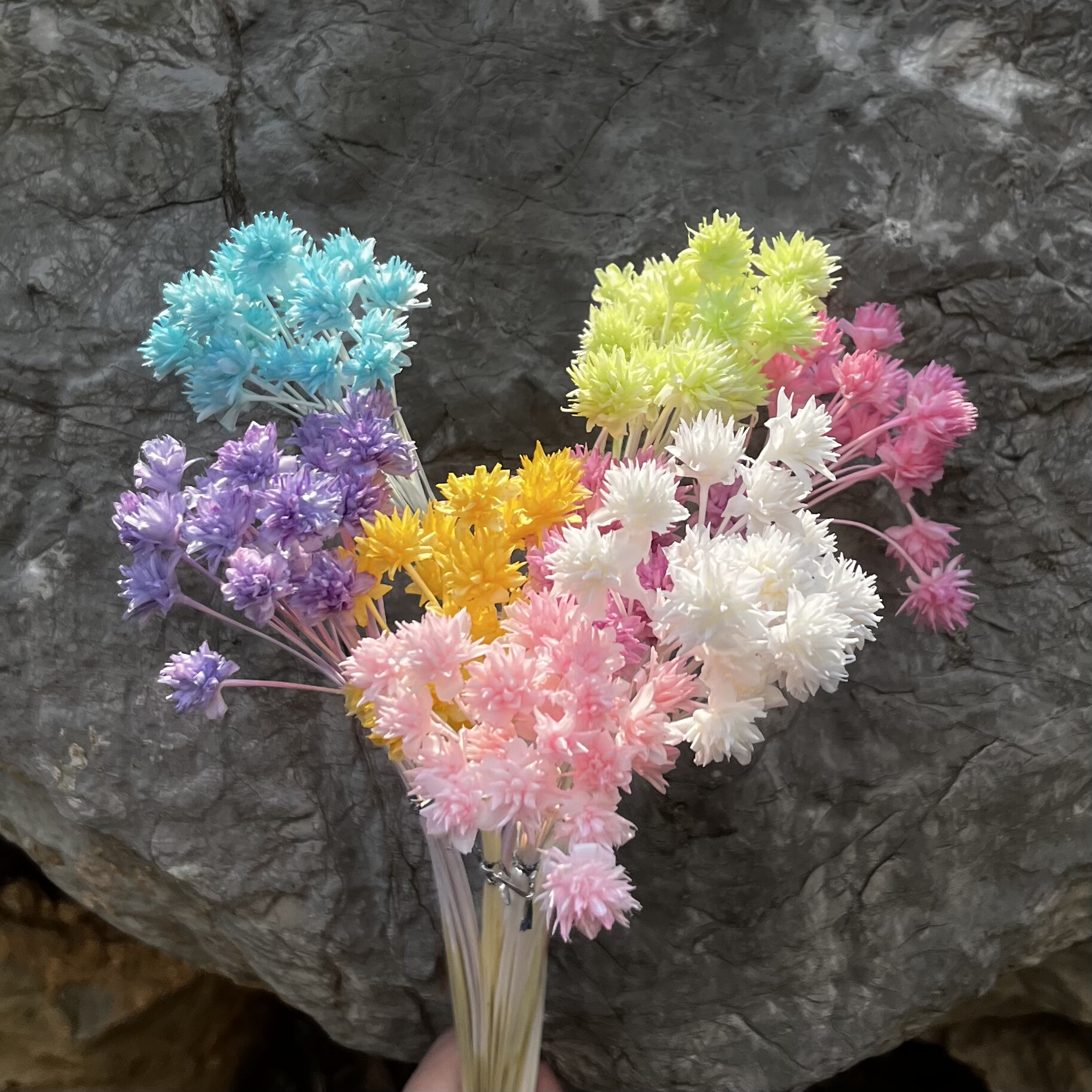 巴西进口小山拍摄diy30枝干花