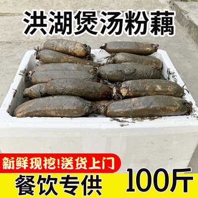 正宗洪湖粉藕批发商用50斤湖北莲藕煲汤新鲜九孔现挖红酒店旗舰店
