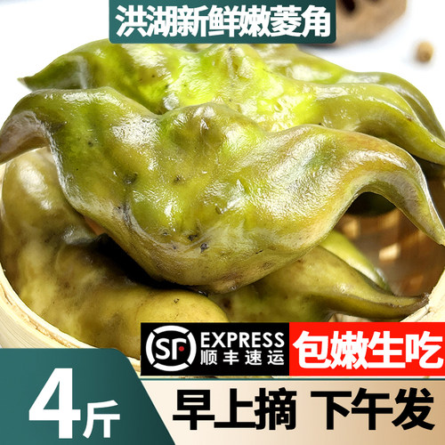 【顺丰冷链】2025年头茬嫩菱角生