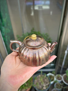 汤宣武芳诞春华底槽青贝壳烧紫砂壶180毫升茶具茶壶龙德堂出品