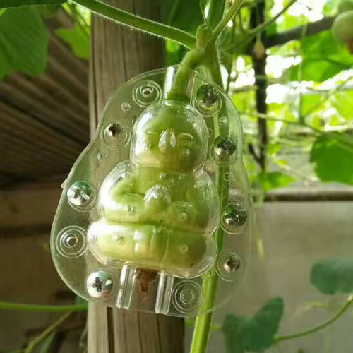 迷你小葫芦人形娃娃定型生长模具
