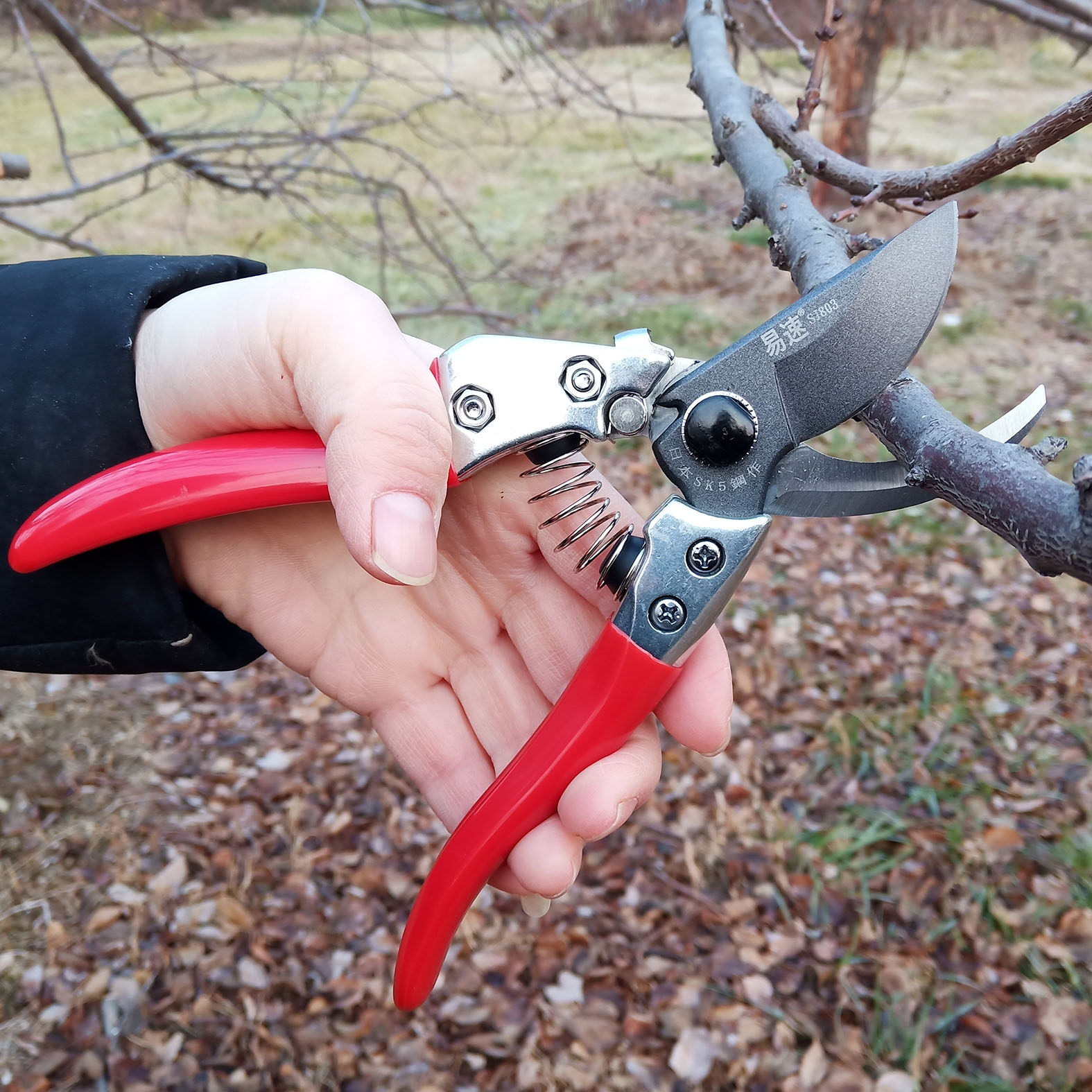 SJ803修枝剪花枝园艺剪刀易速