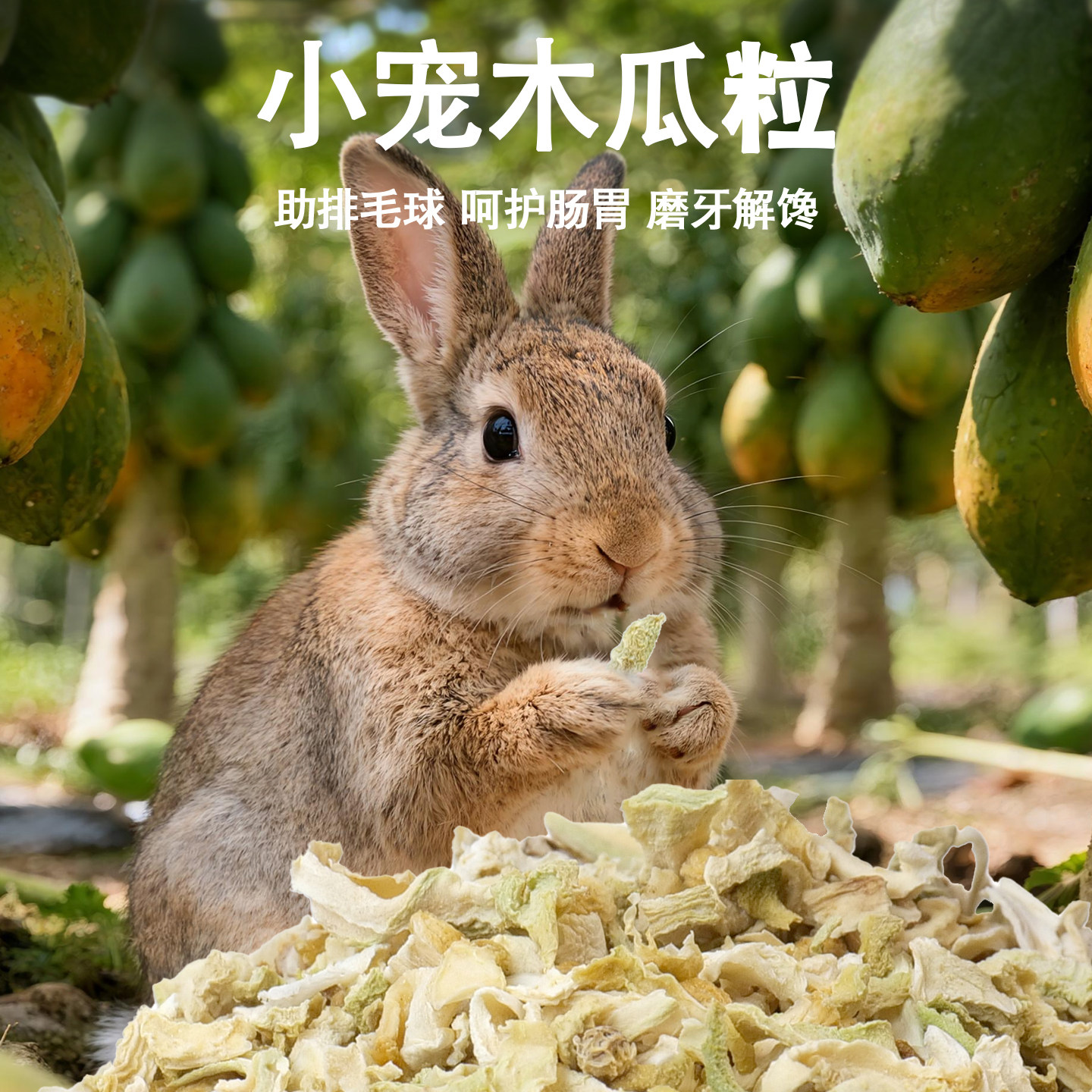 宠物饲料木瓜干木瓜粒仓鼠龙猫调理肠胃助排毛兔子幼崽食物零食