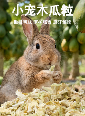 宠物幼崽食物零食调理肠胃助排毛