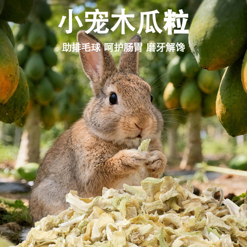 宠物幼崽食物零食调理肠胃助排毛