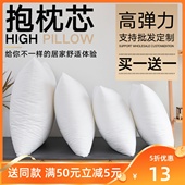 买一送一抱枕芯靠枕芯长方形卧室45 65可定制方芯婚庆