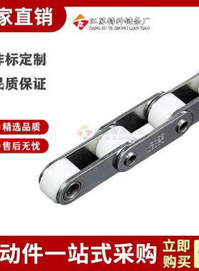 空心链条尼龙塑料滚珠输送链条节距P50.8mm C2082SSHP  C216AHLHP
