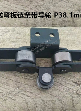 双节距链弯板输送链条带导轮P38.1mm单侧双孔边带滚轮C212AL单K2