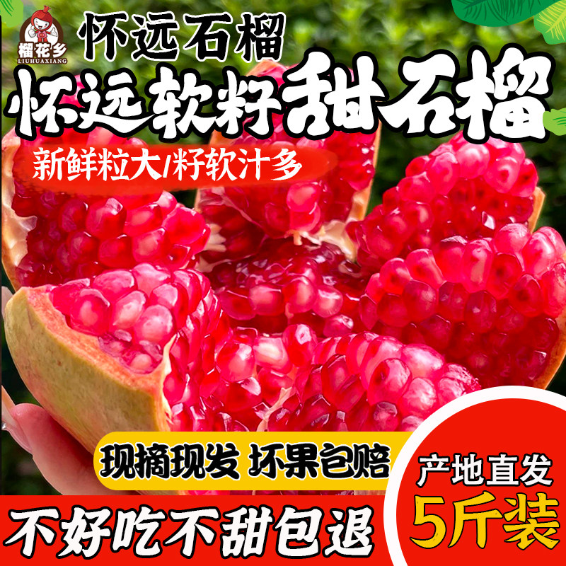 溜之大吉怀远石榴软籽石榴