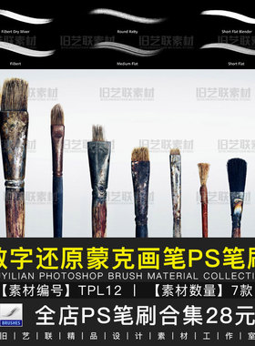 PS笔刷欧美数字蒙克画笔预设绘画油画插画手绘笔触设计素材TPL12
