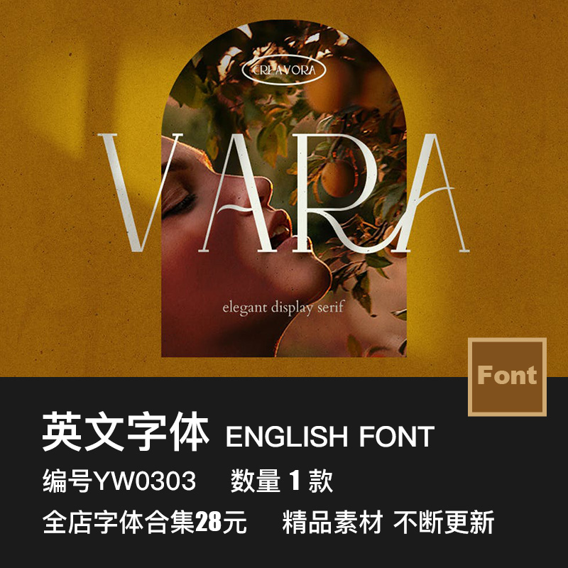 时尚优雅现代简约摄影杂志画册排版logo徽标海报标题设计英文字体