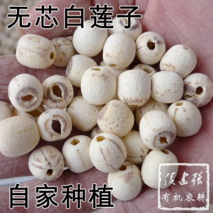 侯建强自家少量种植 无芯白莲子 无农药化肥500g颗粒略小少量现货