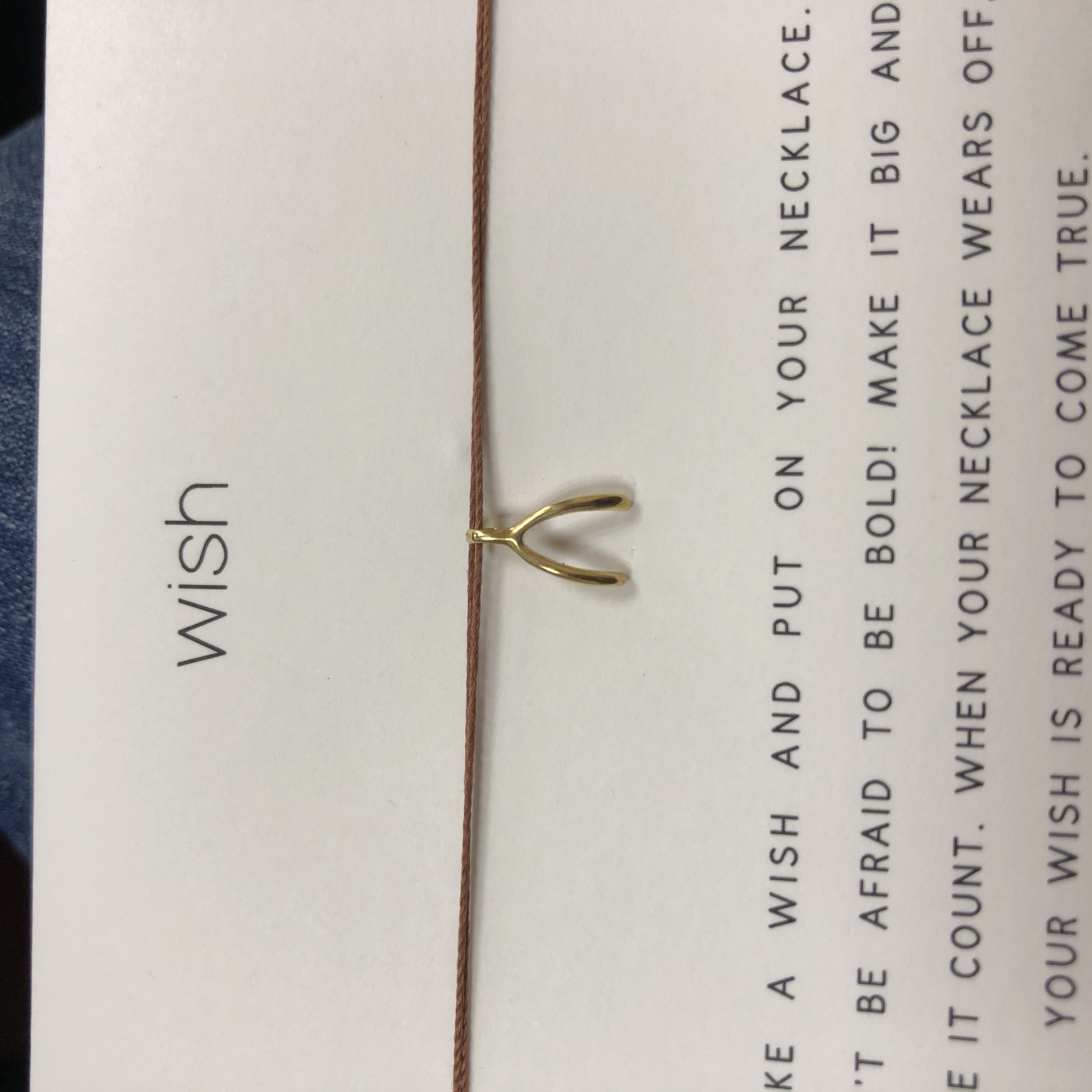 丝线款 银镀金【许愿骨】吊坠 如愿骨许愿项链 美国Dogeared正品