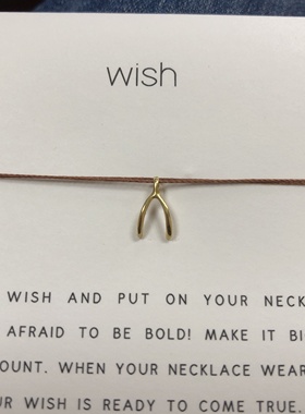 丝线款 银镀金【许愿骨】吊坠 如愿骨许愿项链 美国Dogeared正品