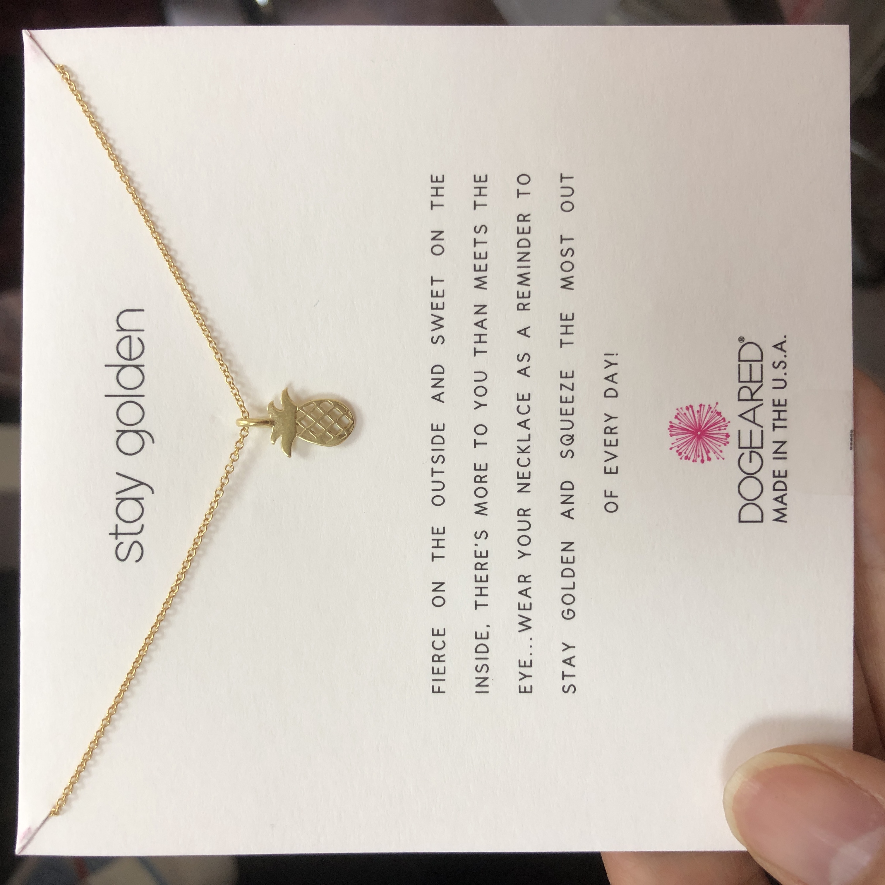 菠萝 镂空设计 锁骨链许愿项链金色银色银饰品Dogeared正品