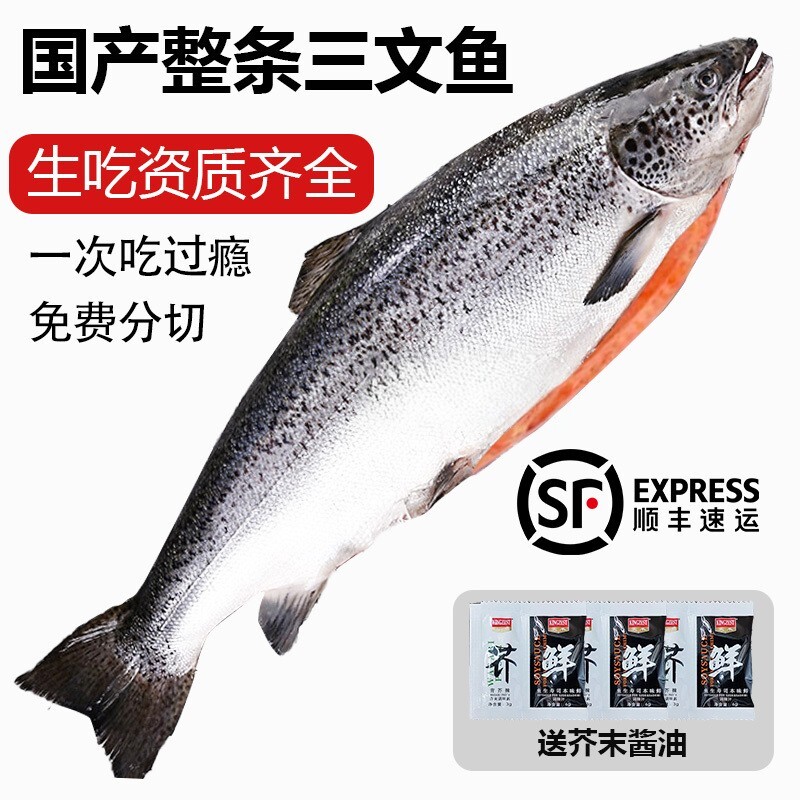 鲜货速发 顺丰新疆国产三文鱼整条一整只3-8斤日料寿司即食刺身