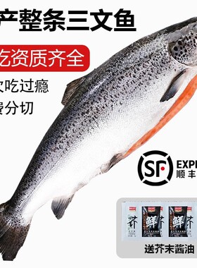 顺丰速发新疆三文鱼刺身即食