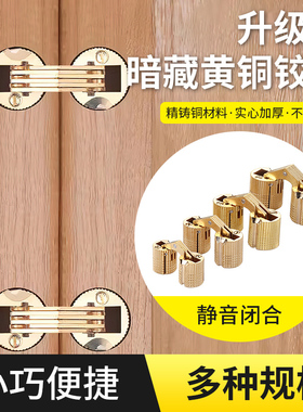 十字铰链暗藏式电表箱门一字铰18板翻板无缝橱柜门平开隐形小合页