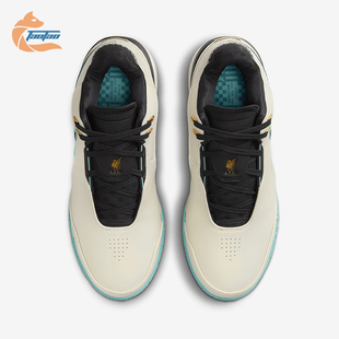 男士 新款 透气时尚 缓震实战运动篮球鞋 101 Nike FJ1567 耐克正春季