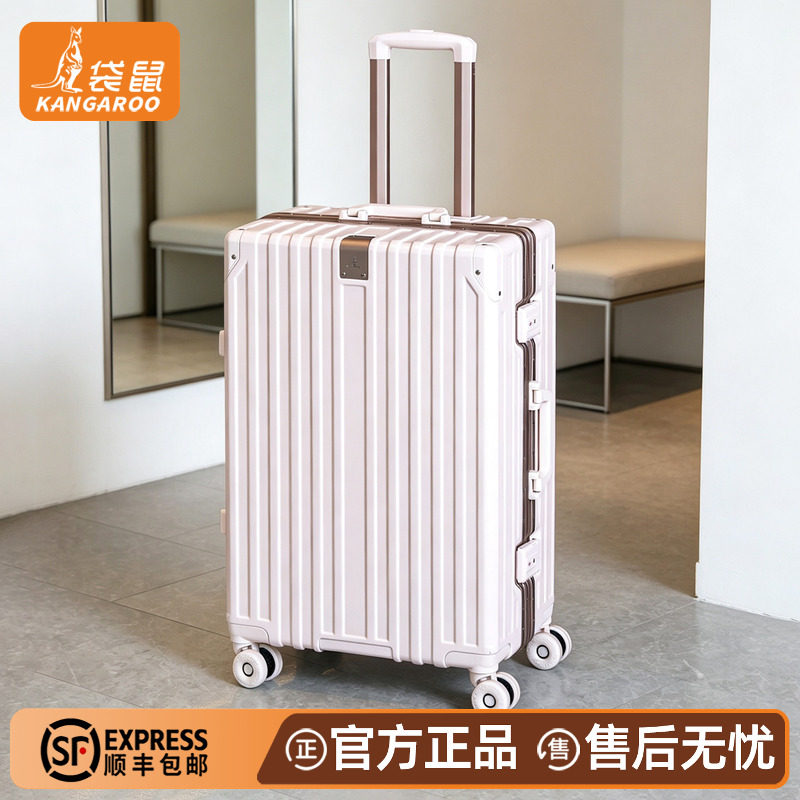 26寸铝框万向轮静音密码拉杆箱