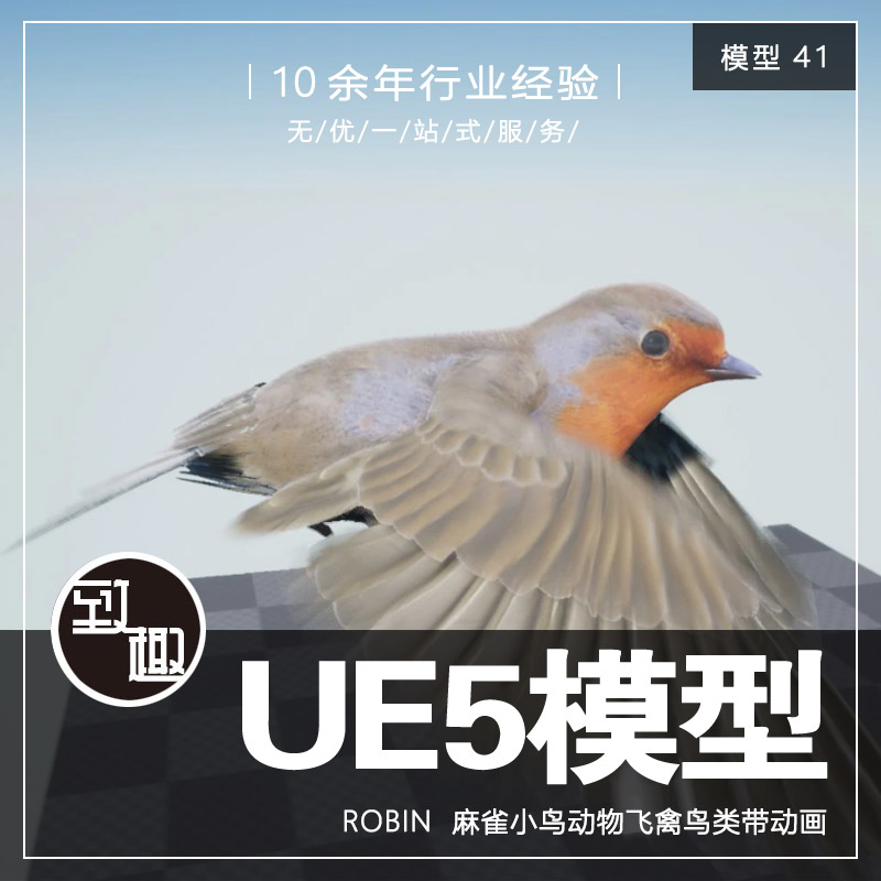 ue4ue5_robin 麻雀小鸟动物飞禽鸟类带基础骨骼角色动画_模型41
