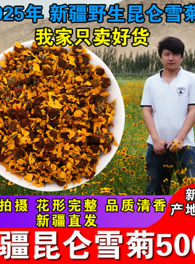 500g雪菊新疆昆仑雪菊特产天山血菊非胎菊王茶叶菊花茶