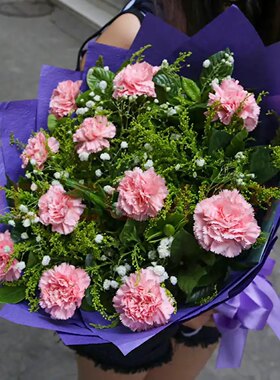 海南康乃馨母亲节鲜花