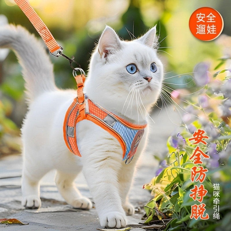 猫绳牵引绳防挣脱不勒脖猫咪专用牵猫绳子小猫遛猫绳栓猫神器外出,宠物/宠物食品及用品,狗牵引绳,淘宝优惠券,粉丝福利购,淘宝优惠卷
