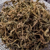 东北延边特产蒲公英茶婆婆丁干野生新货 整根烫后晾晒250克