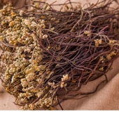 蕨菜干东北特产延边野生蕨菜干自然晾晒拌饭用2025年新货一斤 包邮