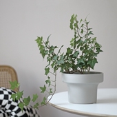 WOOKEN原创陶瓷花盆奶灰哑光高温陶盆多肉透气热带网红绿植INS