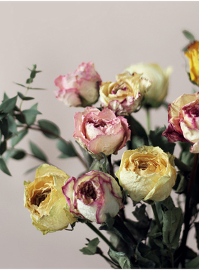 WOOKEN精品复古玫瑰干花天然真花束莫兰迪色植物生日礼物家居装饰