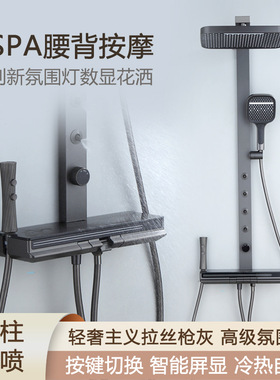 德国枪灰色淋浴花洒套装全铜带SPA腰背按摩卫生间浴室增压沐浴器