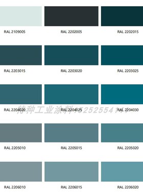 RAL2109005劳尔弓把卡钳羽毛球拍AASUND户外器械瑜伽球皮球改色漆