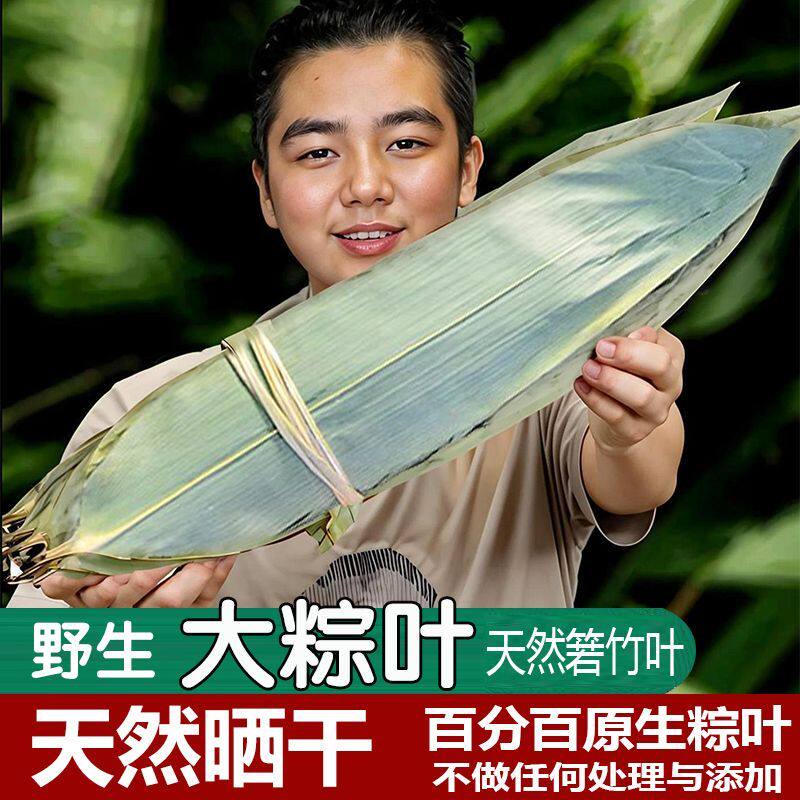 端午野生箬竹干粽叶大号