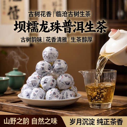 普洱茶生茶2024古树纯料250g龙珠